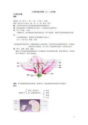 教科版小学科学毕业总复习提纲资料