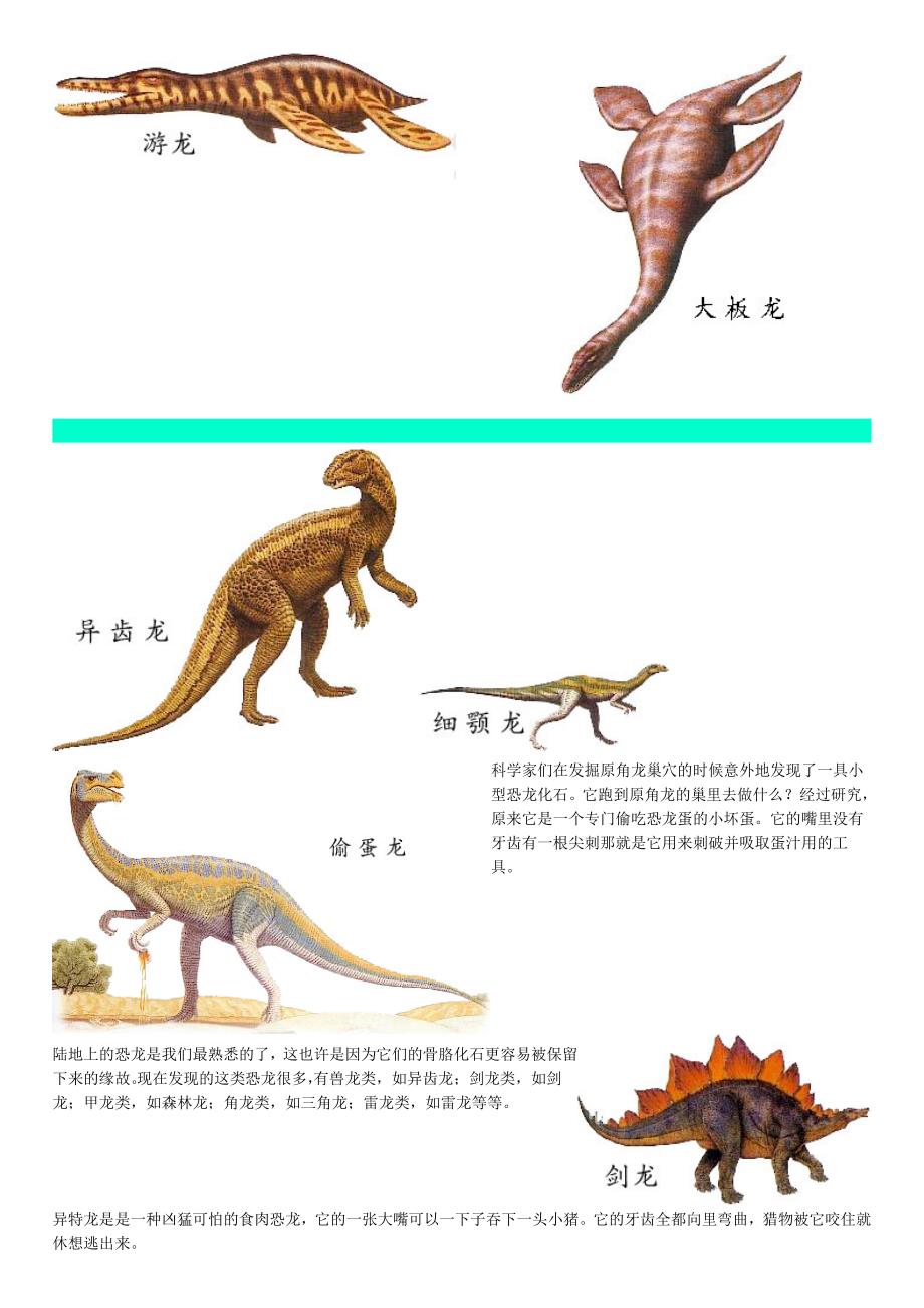 恐龙世界图片及资料 资料_第4页
