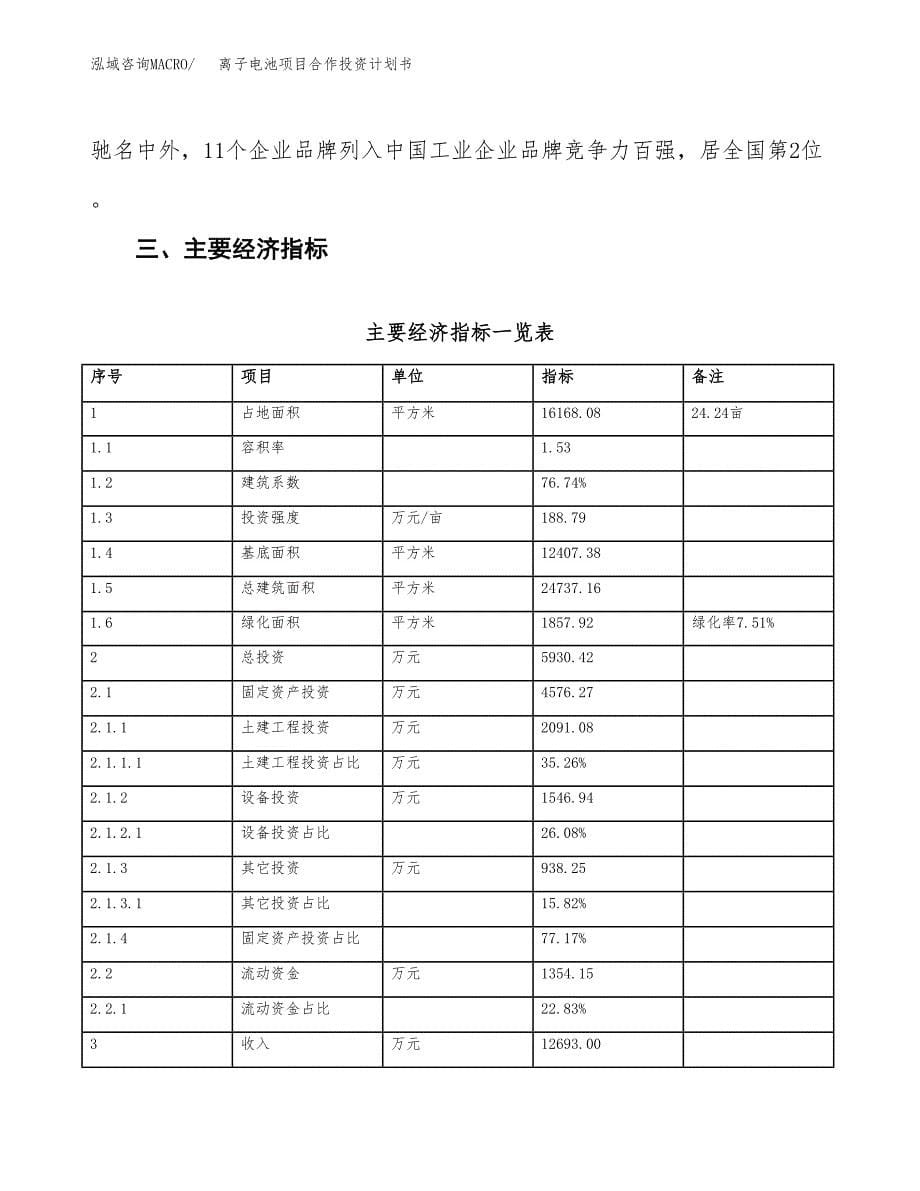 离子电池项目合作投资计划书（样本）.docx_第5页