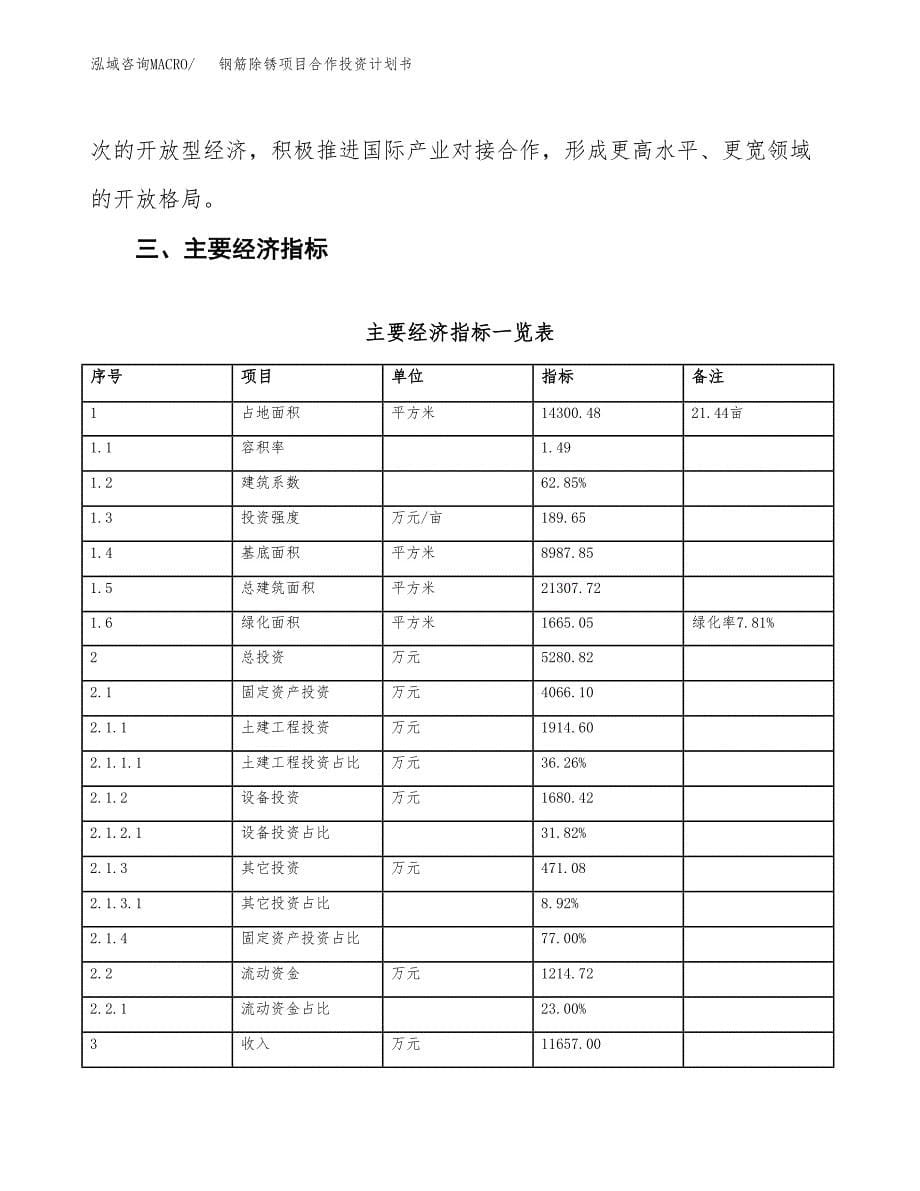 钢筋除锈项目合作投资计划书（样本）.docx_第5页