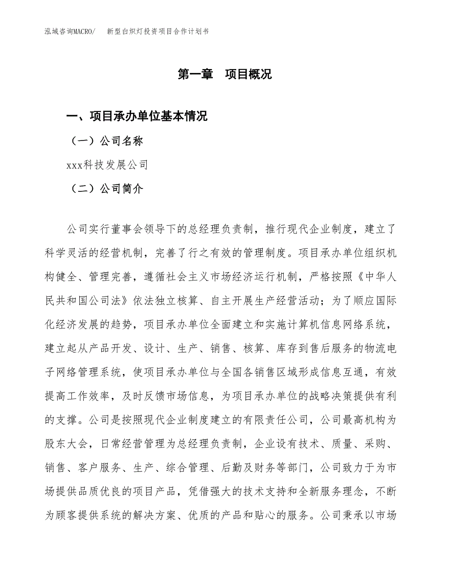 新型白炽灯投资项目合作计划书.docx_第3页