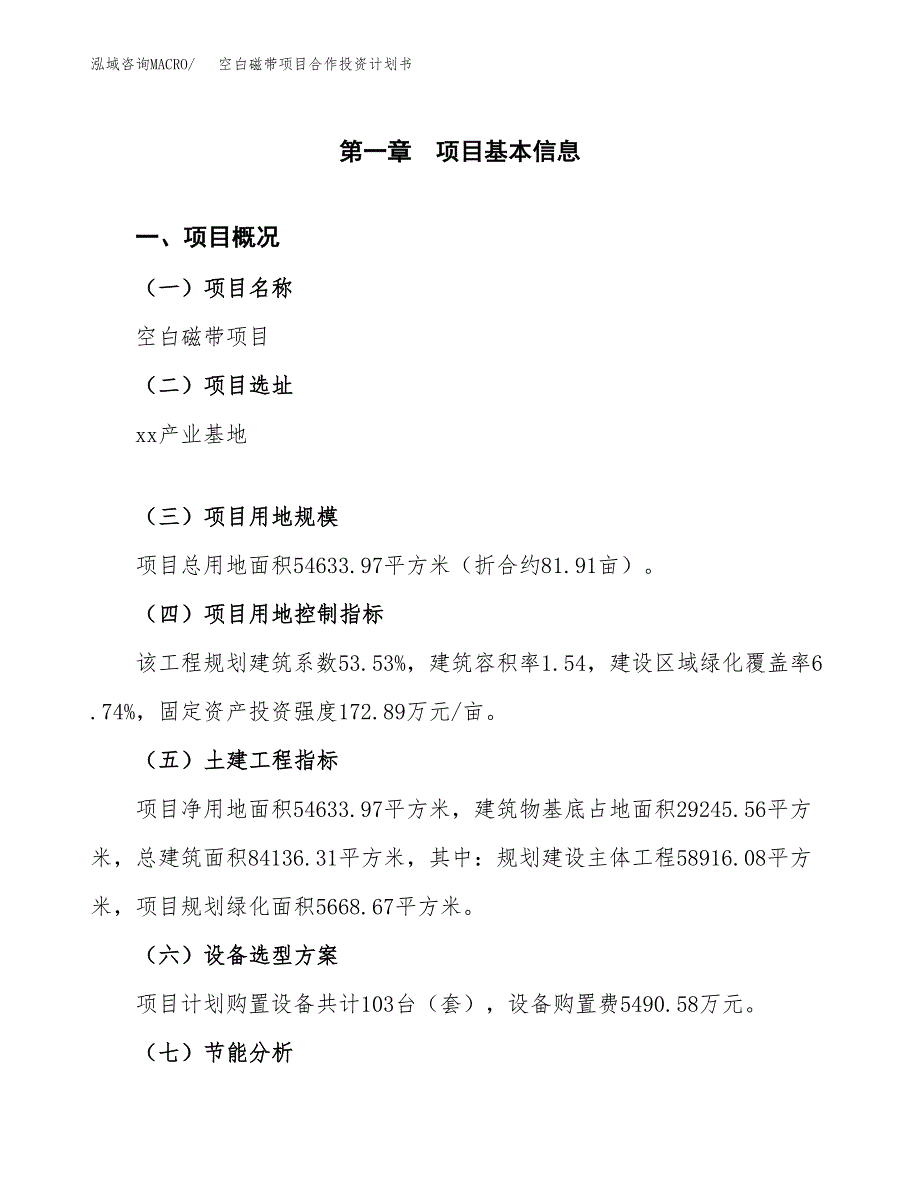 空白磁带项目合作投资计划书（样本）.docx_第1页