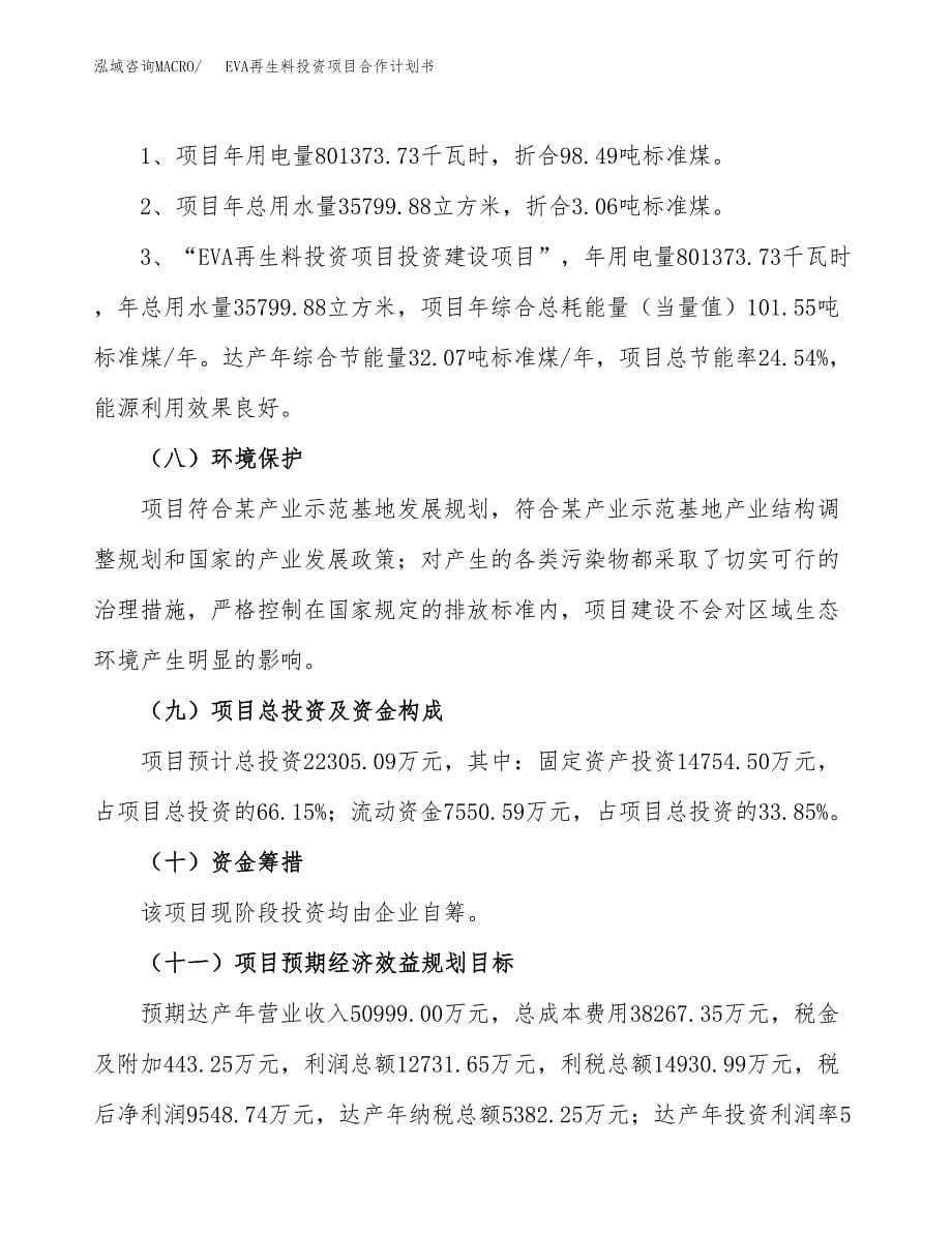 EVA再生料投资项目合作计划书.docx_第5页