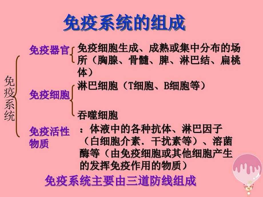 云南省峨山彝族自治县高中生物 第二章 动物和人体生命活动的调节 2.4 免疫调节 新人教版必修3_第4页