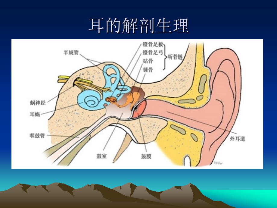 听觉诱发电位资料_第3页