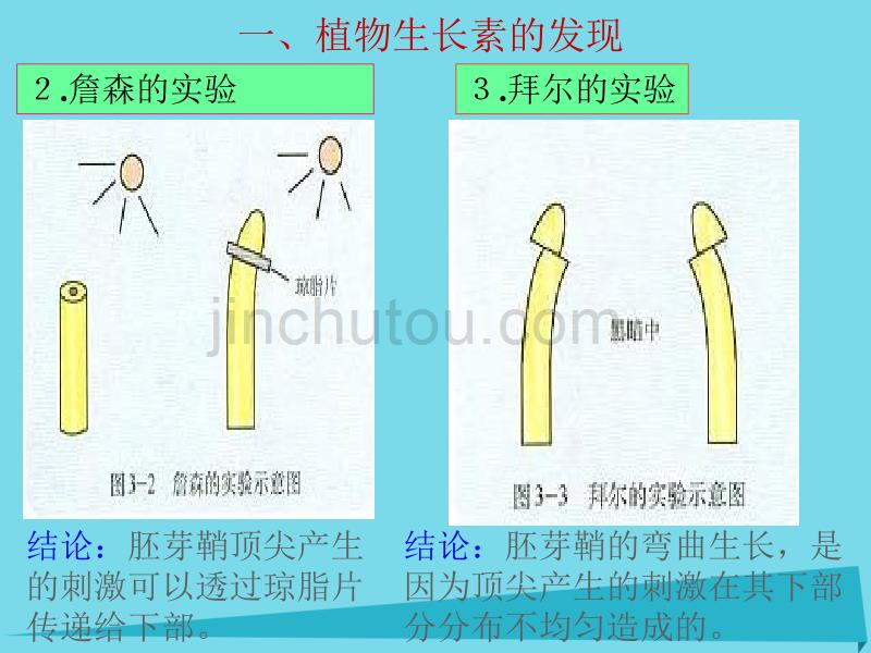 吉林省伊通满族自治县高中生物 第三章 植物的激素调节 3.1 2 植物生长素的发现 新人教版必修3_第5页