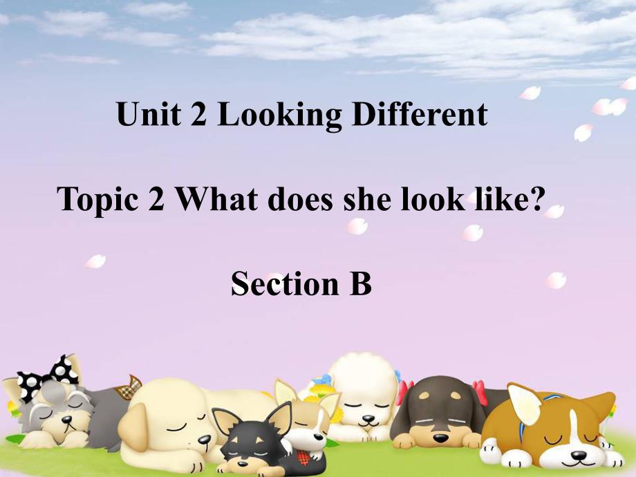 仁爱版七年级上册-Unit2-Topic2-SectionB-课件_第2页