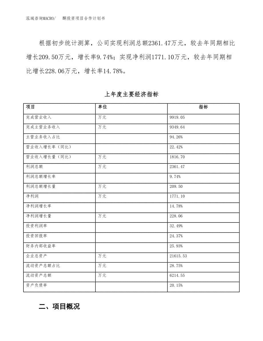 酮投资项目合作计划书.docx_第5页