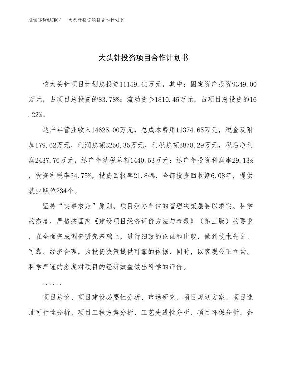 大头针投资项目合作计划书.docx_第1页