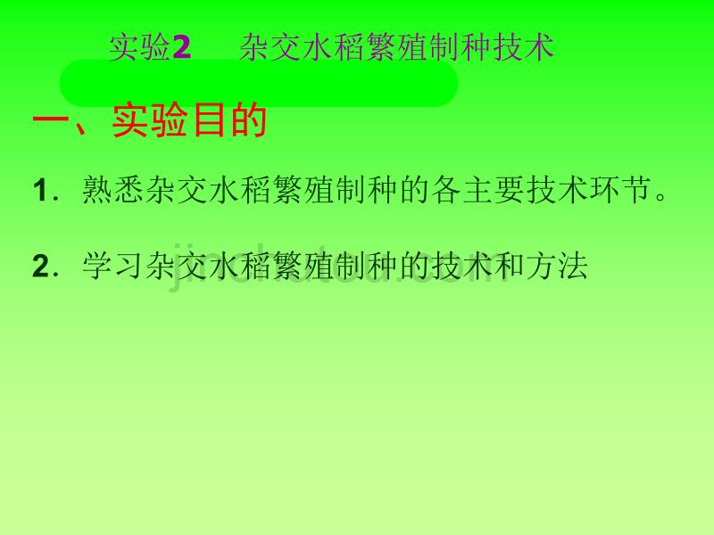 实验02 杂交水稻繁殖制种技术资料_第1页