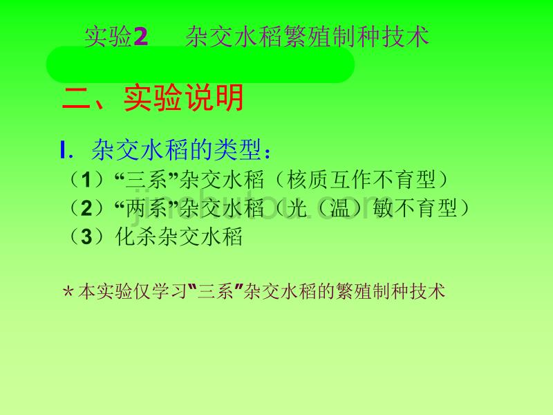 实验02 杂交水稻繁殖制种技术资料_第2页