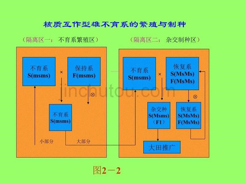 实验02 杂交水稻繁殖制种技术资料_第5页