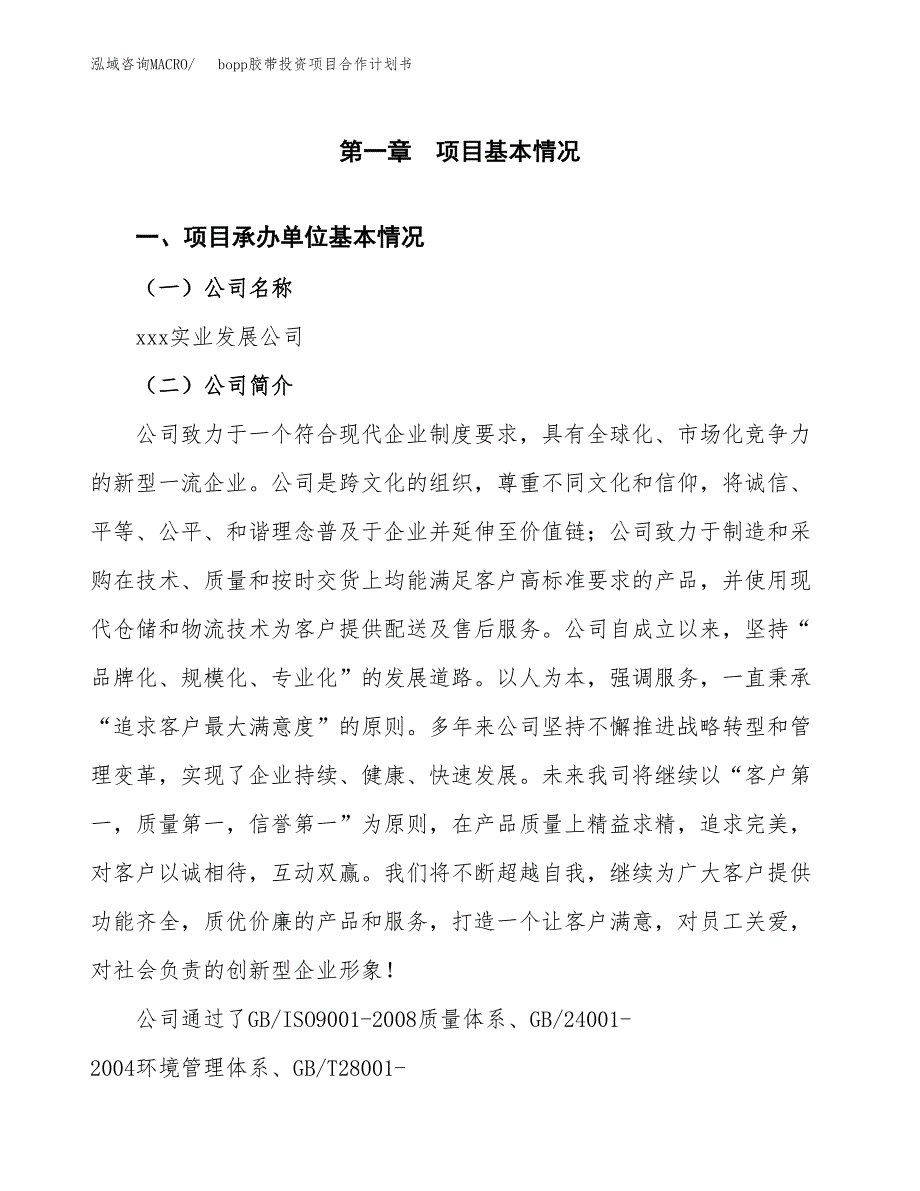 bopp胶带投资项目合作计划书.docx_第2页