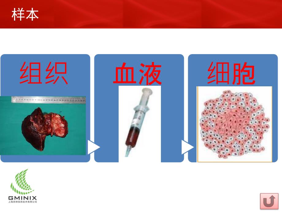 肿瘤研究基本思路_第4页