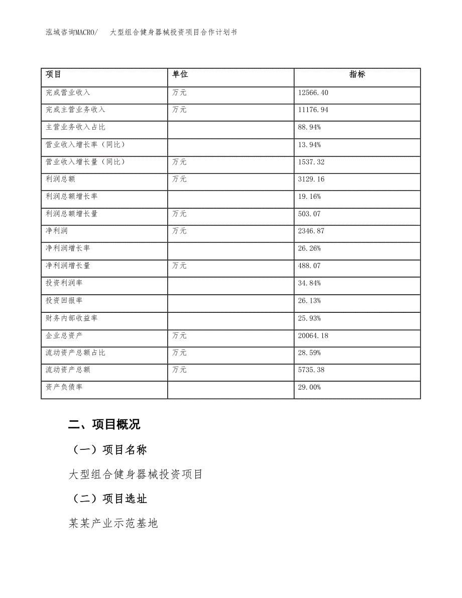 大型组合健身器械投资项目合作计划书.docx_第5页