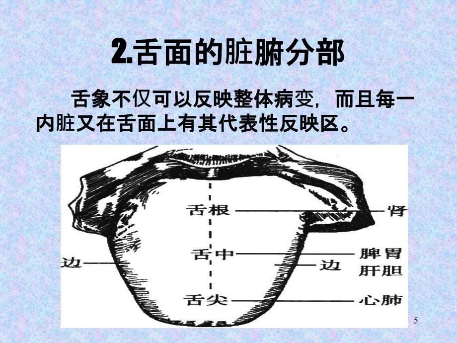 成教用舌诊教材_第5页