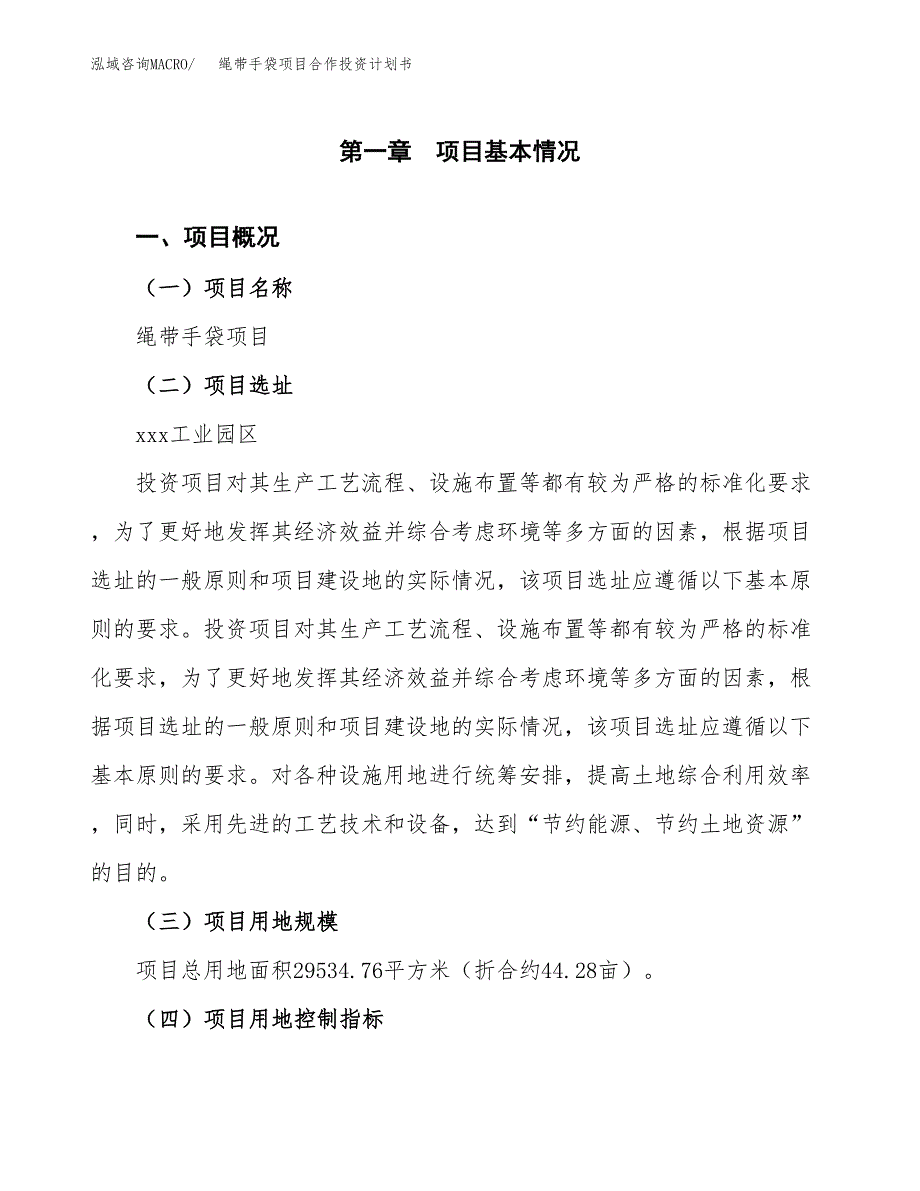 绳带手袋项目合作投资计划书（样本）.docx_第1页