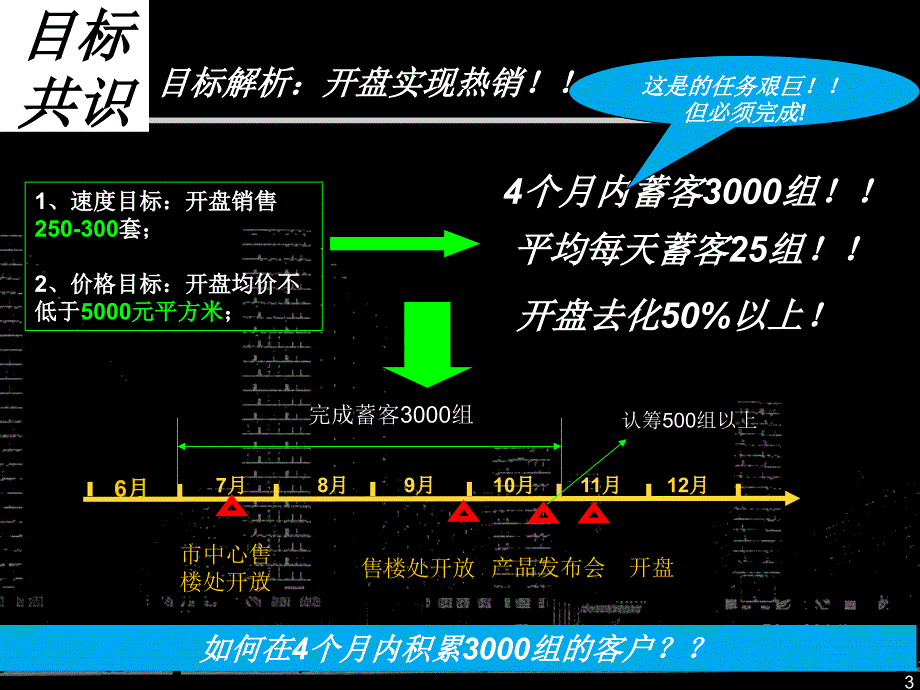 合肥融科九重锦项目营销执行报告_第3页