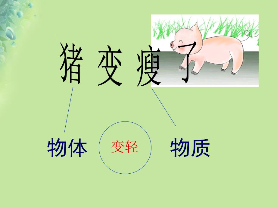 江苏省淮安市八年级物理下册6.1物体的质量（新版）苏科版_第2页