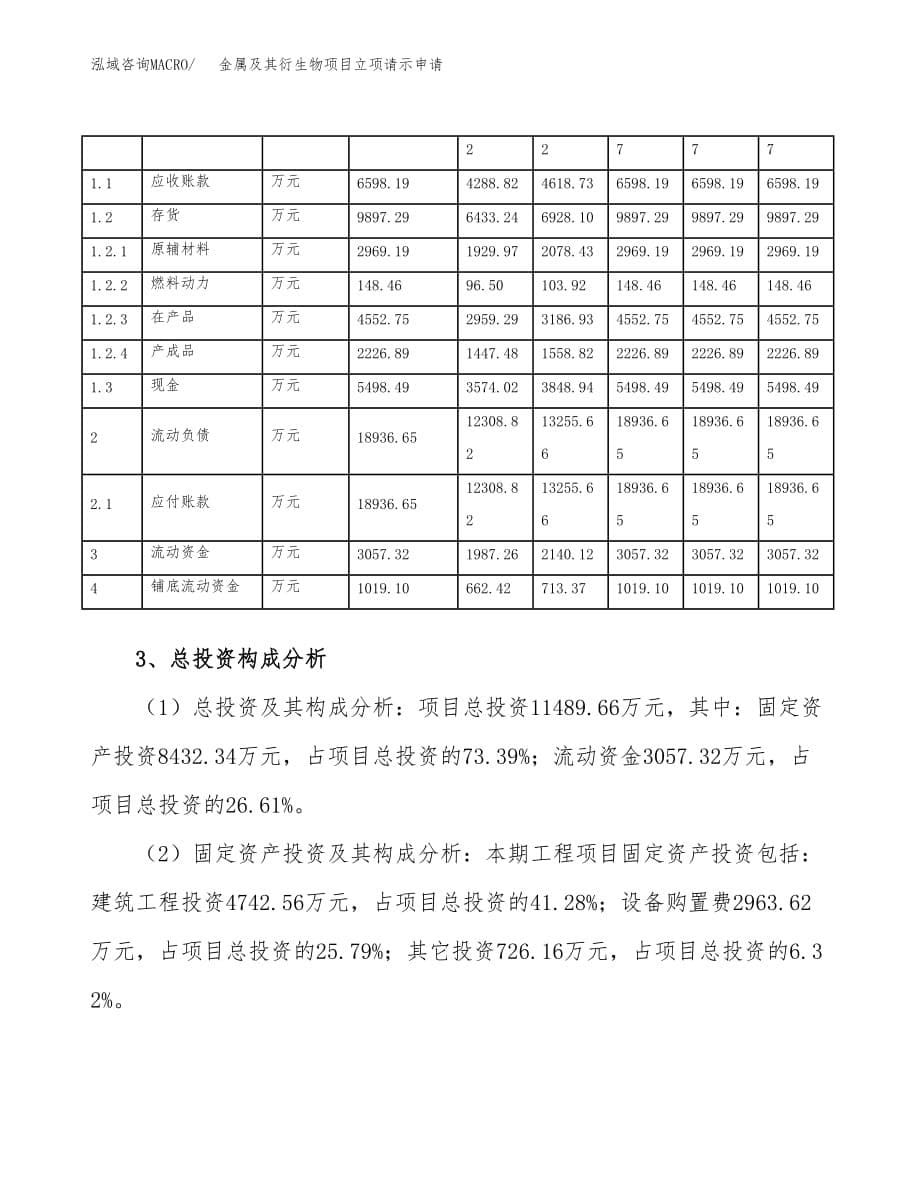 金属及其衍生物项目立项请示申请_第5页