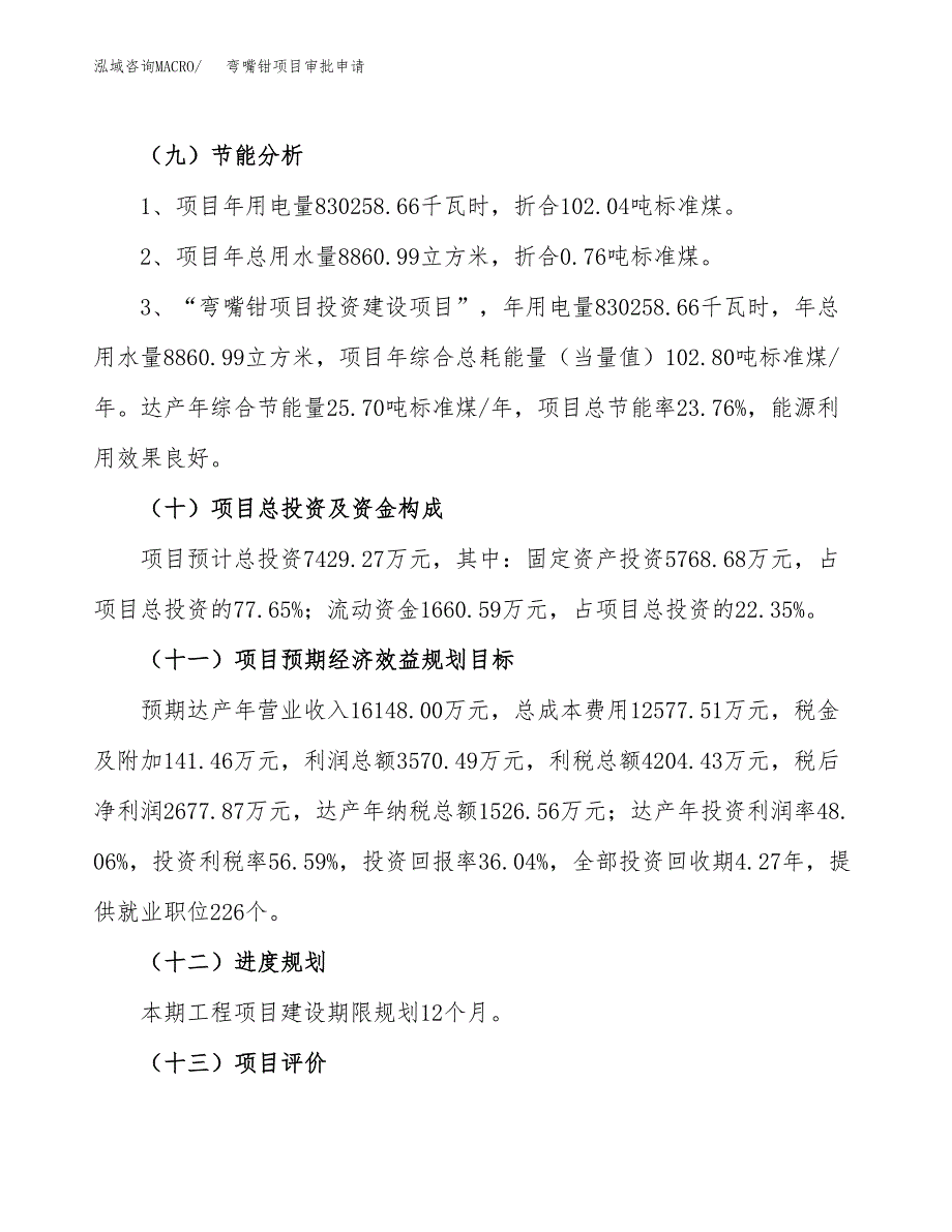 弯嘴钳项目审批申请（总投资7000万元）.docx_第4页