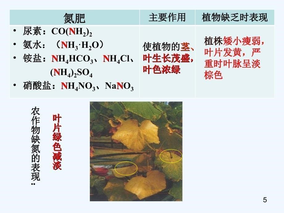 （精品教育）单元3盐化学肥料_第5页