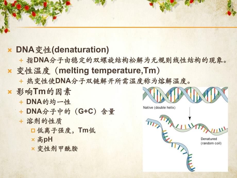 原位杂交定律_第3页