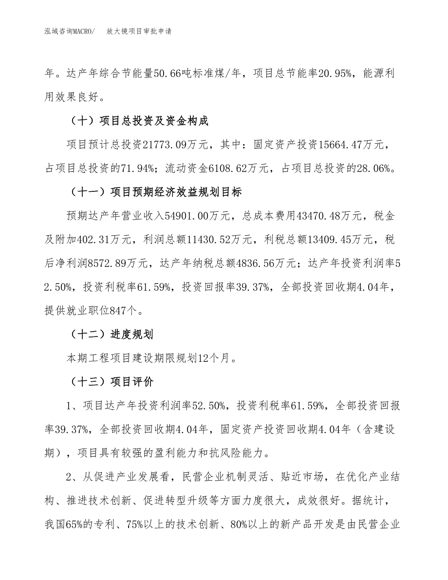 放大镜项目审批申请（总投资22000万元）.docx_第4页