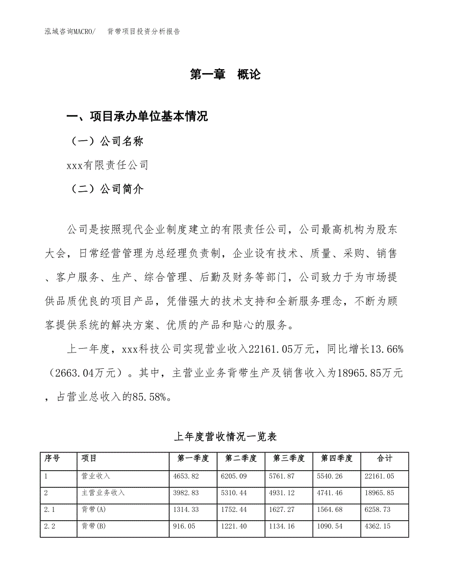 背带项目投资分析报告（总投资13000万元）（49亩）_第2页