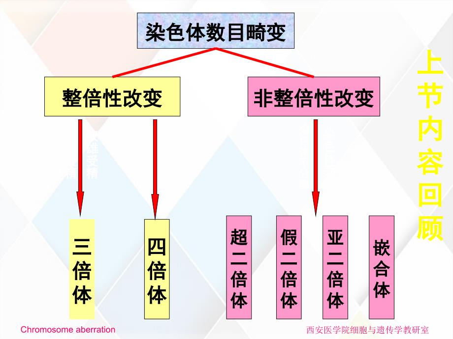 染色体结构突变导致的畸形_第1页