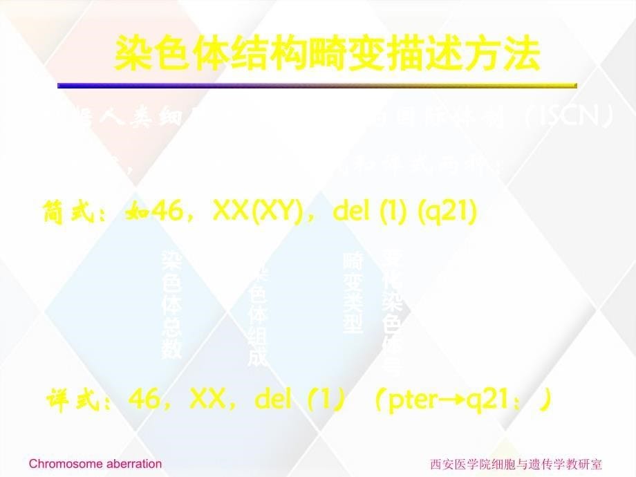 染色体结构突变导致的畸形_第5页