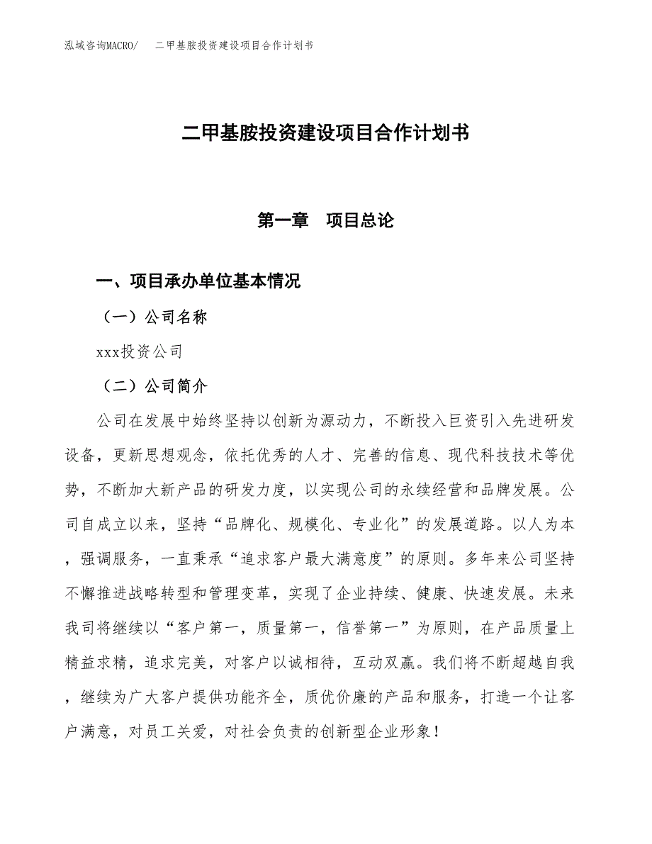 二甲基胺投资建设项目合作计划书（样本）_第1页