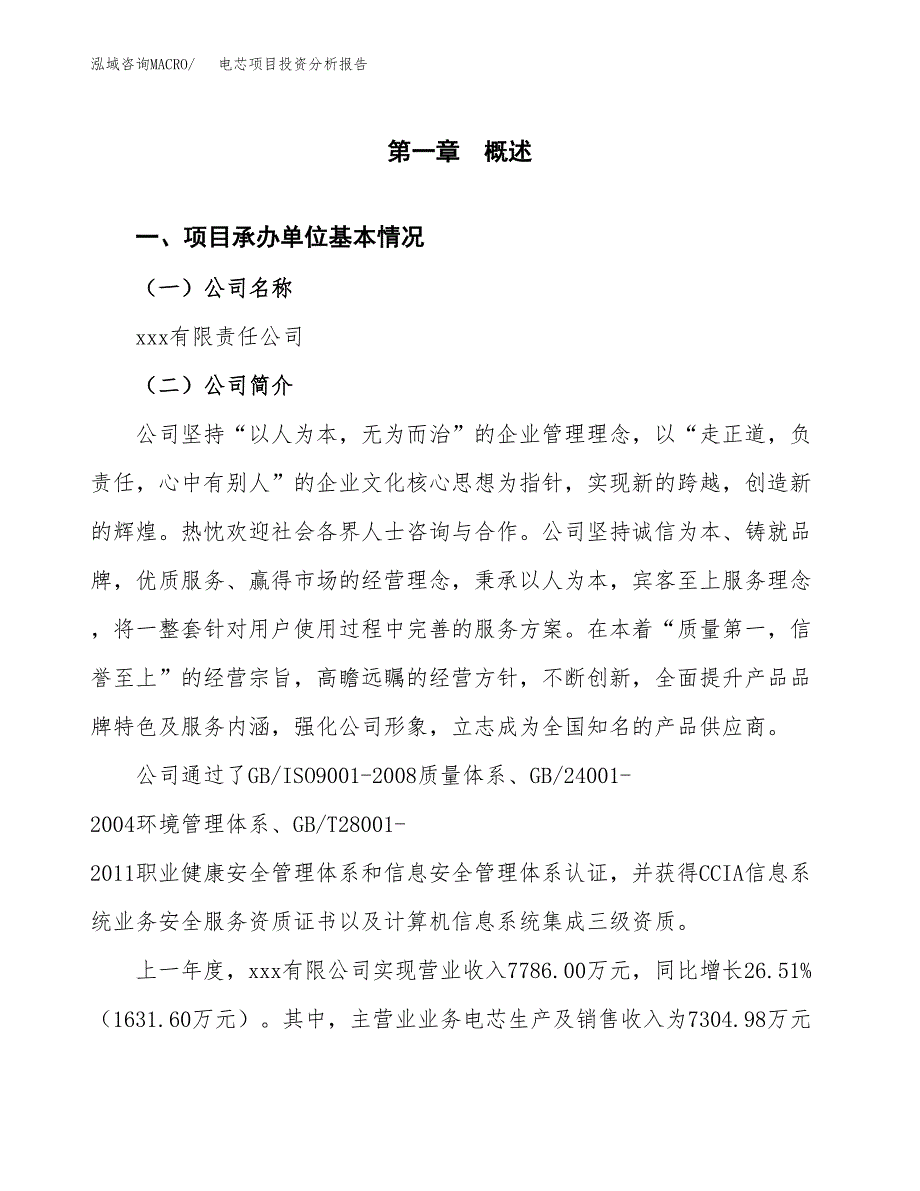 电芯项目投资分析报告（总投资11000万元）（48亩）_第2页