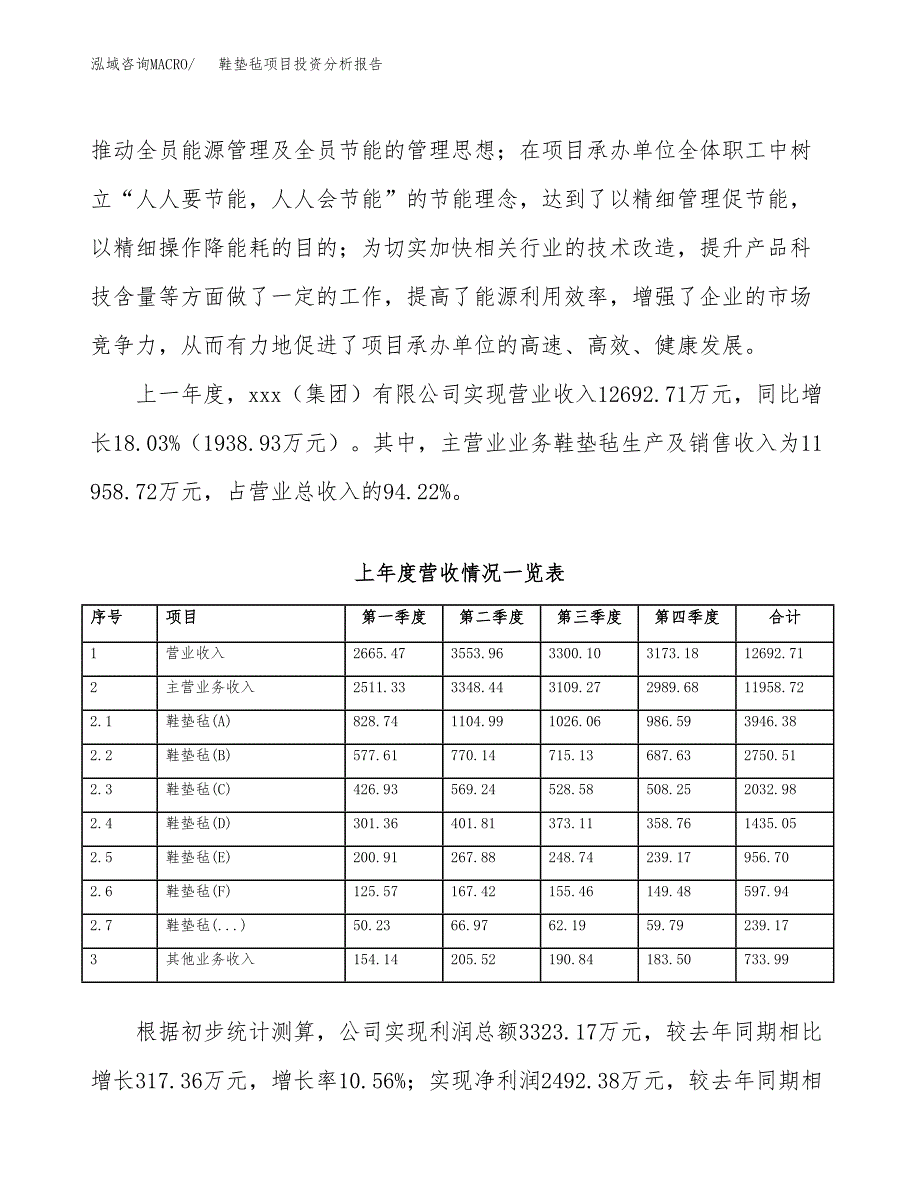 鞋垫毡项目投资分析报告（总投资10000万元）（40亩）_第3页