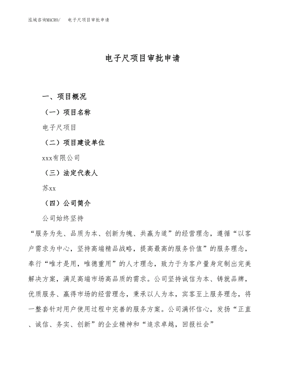 电子尺项目审批申请（总投资10000万元）.docx_第1页