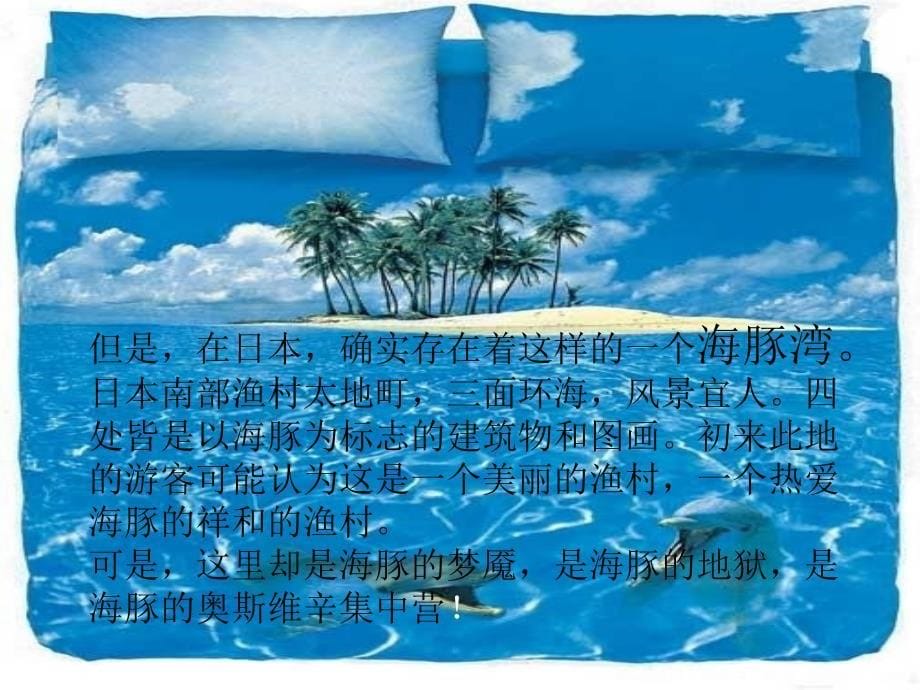 太子町海豚湾教材_第5页