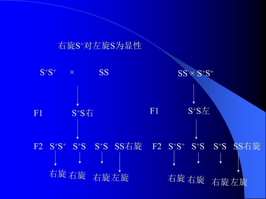 上海交通大学遗传学课件核外遗传教材_第3页