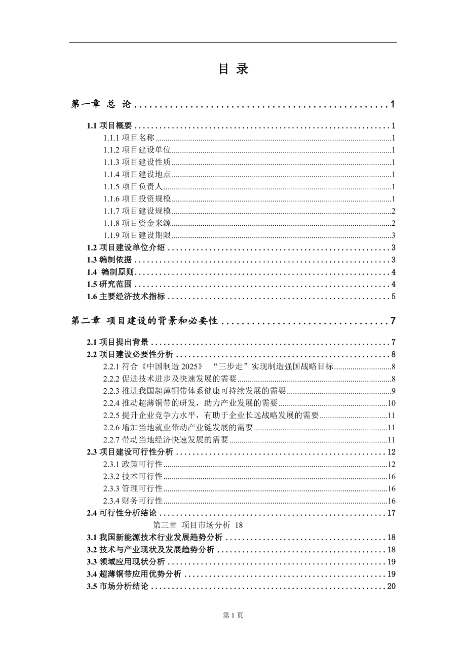 超薄铜带新建项目可行性研究报告-可修改备案申请(1)_第2页