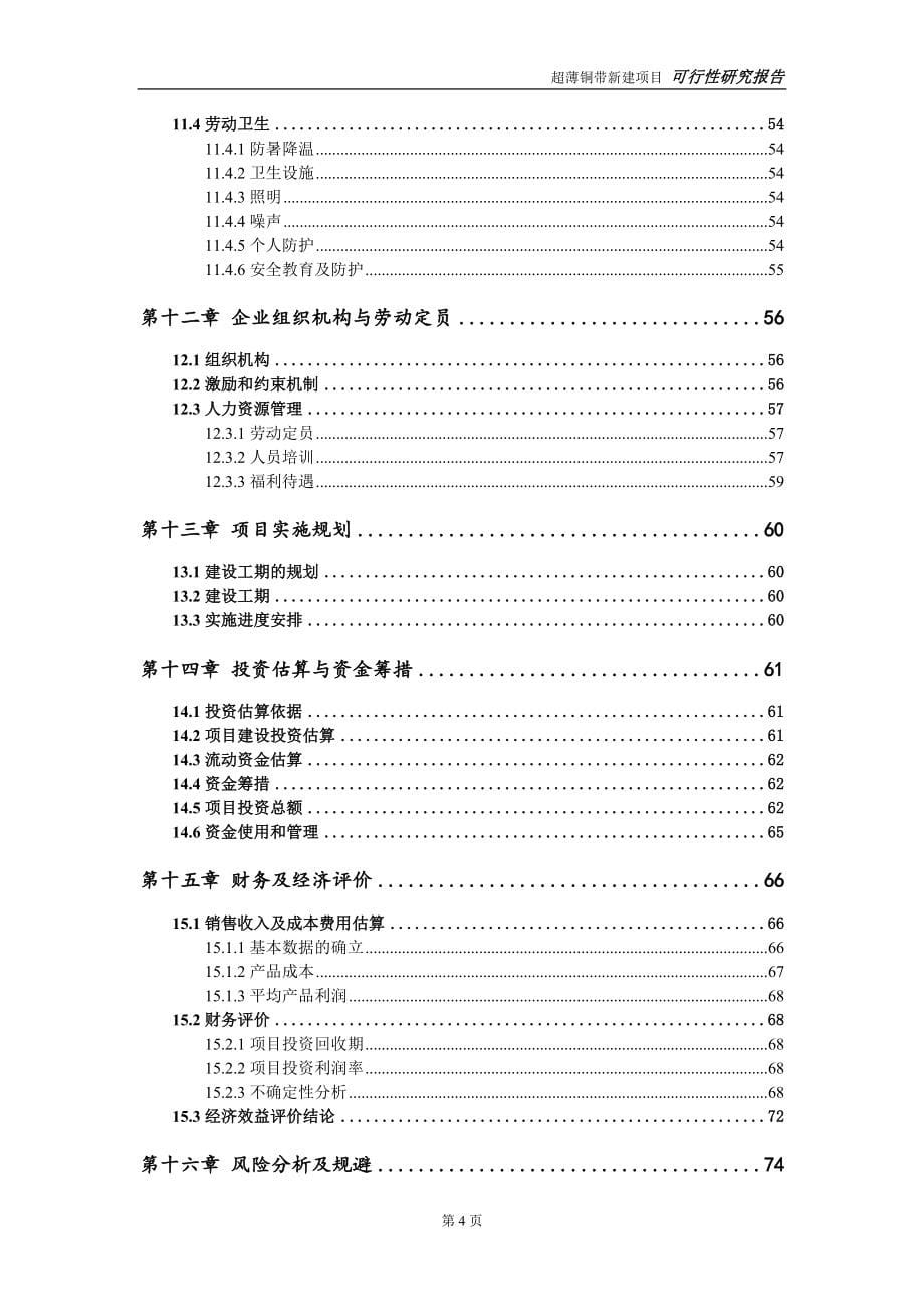 超薄铜带新建项目可行性研究报告-可修改备案申请(1)_第5页