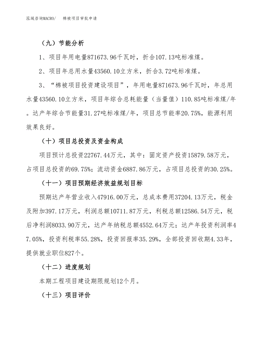 棉被项目审批申请（总投资23000万元）.docx_第4页