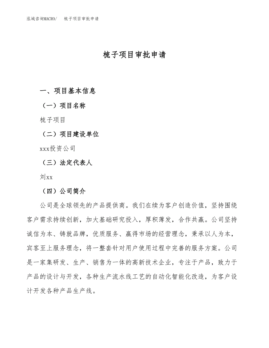 梳子项目审批申请（总投资4000万元）.docx_第1页