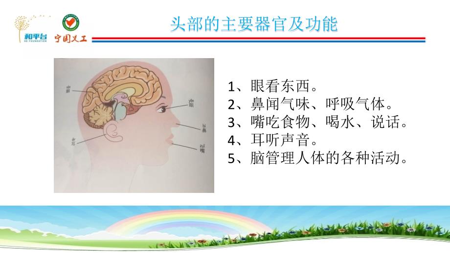 一年级课程认识身体_第4页