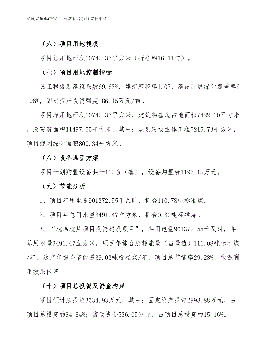 枕席枕片项目审批申请（总投资4000万元）.docx_第3页