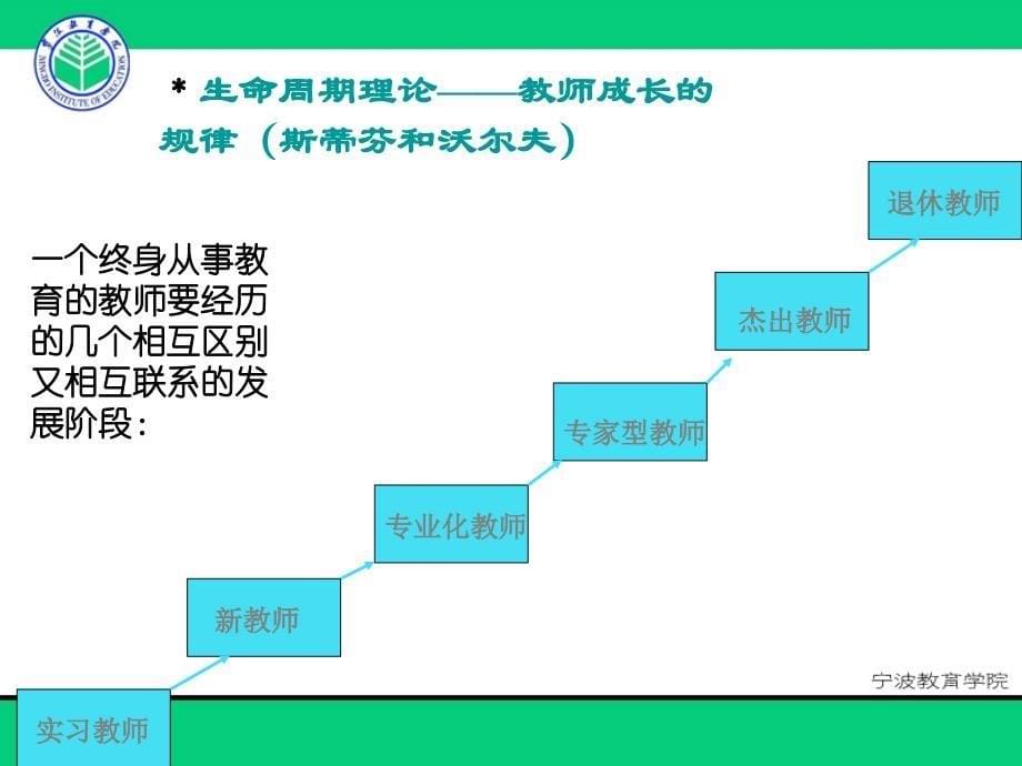 教师教学能力及其发展途径教材_第5页