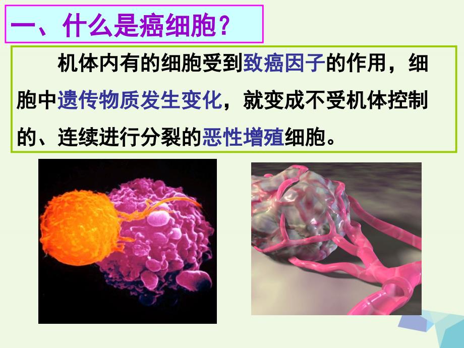 高中生物 6.4 细胞的癌变（优质课） 新人教版必修1_第4页