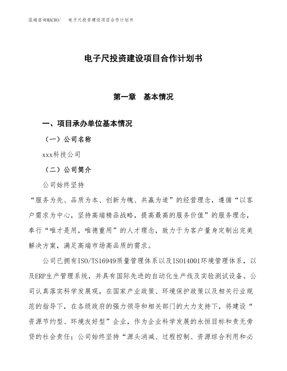 电子尺投资建设项目合作计划书（样本）_第1页