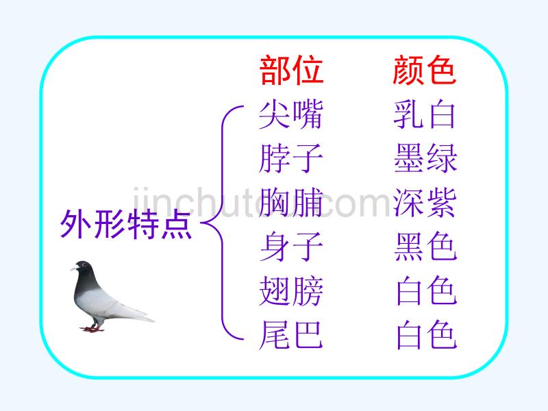 （精品教育）苏教版语文五年级上册习作2_第3页