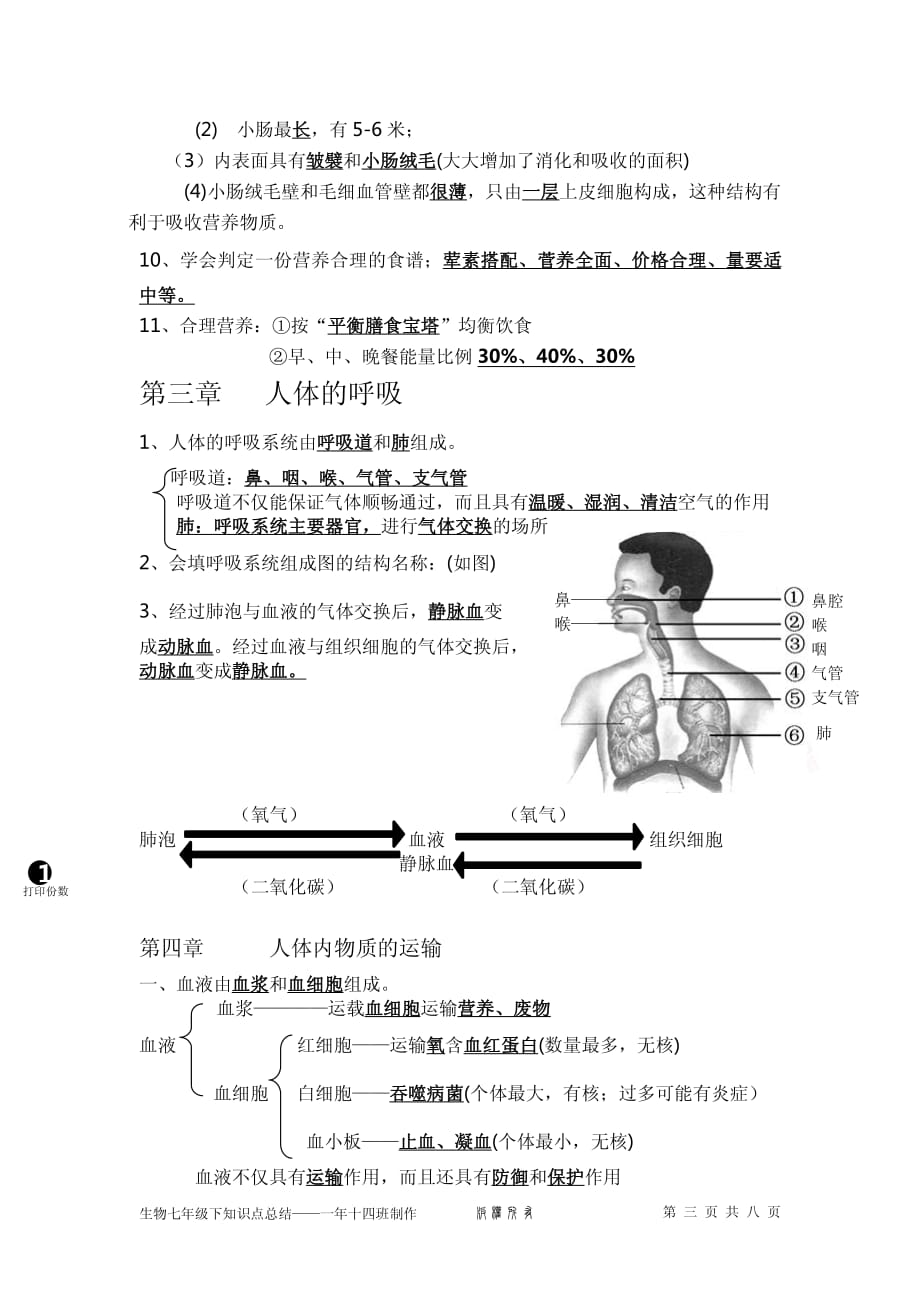 人教版初中七年级下册生物重点知识点总结_第3页