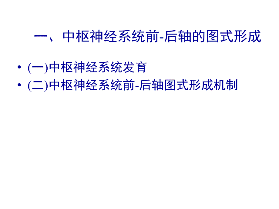 神经系统发育资料_第3页