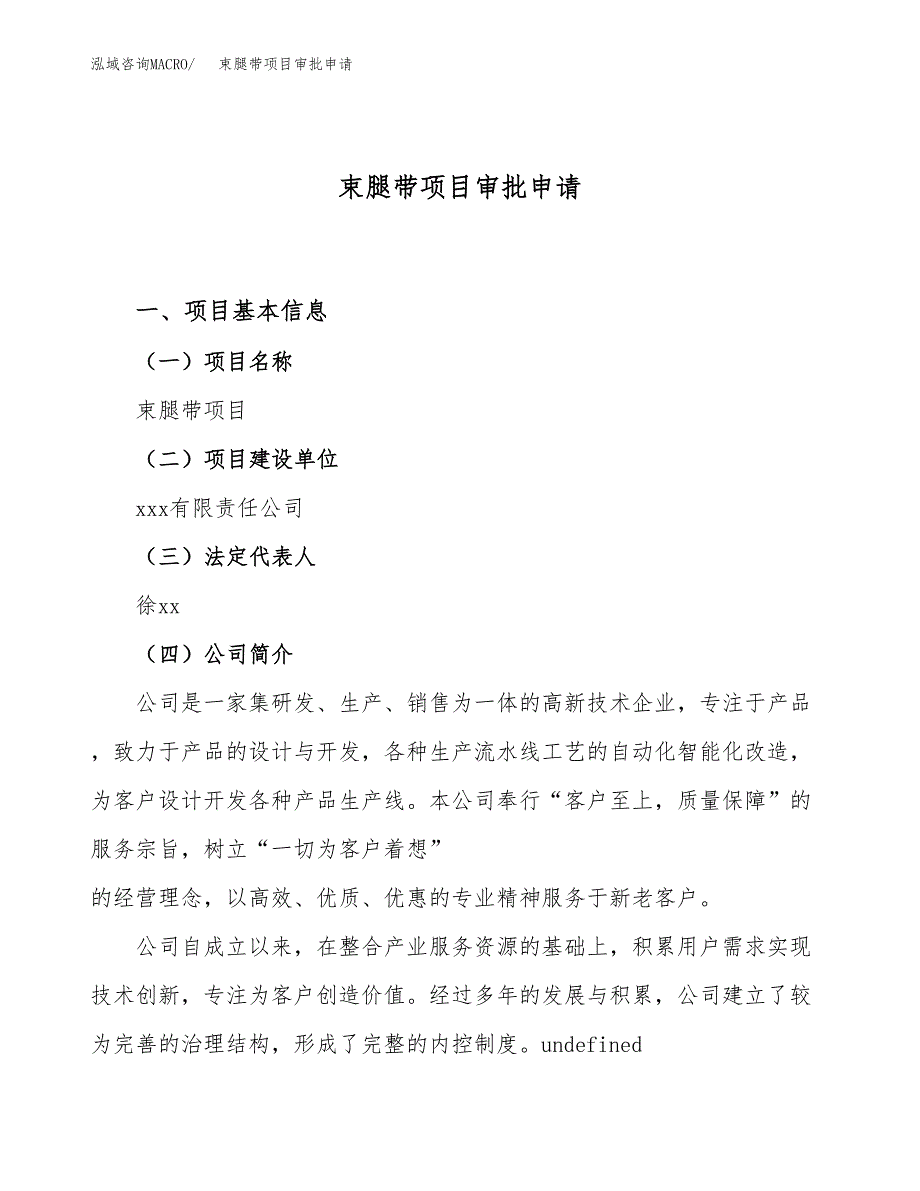 束腿带项目审批申请（总投资20000万元）.docx_第1页